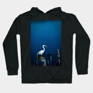 White Great Egret Hoodie